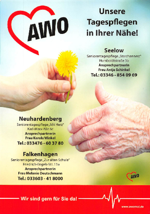 Flyer Tagespflegen